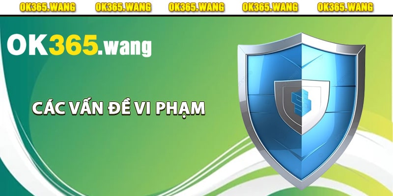 Chính Sách Bảo Mật Ok365 Thực Hiện Đúng Quy Chế An Toàn 3 Các vấn đề vi phạm chính sách bảo mật Ok365